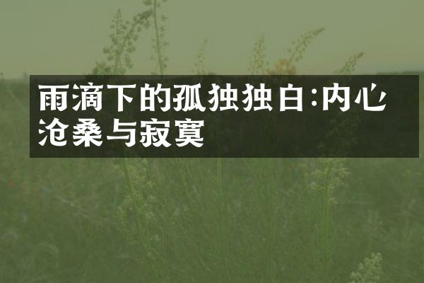 雨滴下的孤独独白:内心的沧桑与寂寞