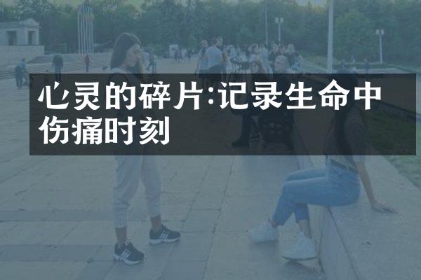 心灵的碎片:记录生命中的伤痛时刻