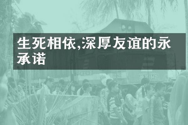 生死相依,深厚友谊的永恒承诺