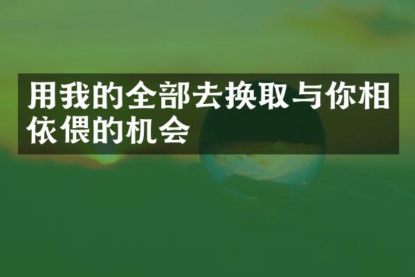 用我的全去换取与你相依偎的机会