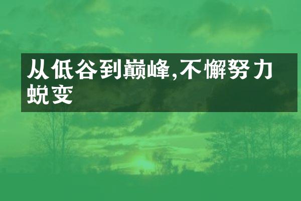 从低谷到巅峰,不懈努力的蜕变