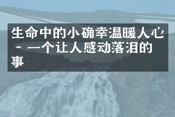 生命中的小确幸温暖人心 - 一个让人感动落泪的故事