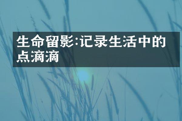 生命留影:记录生活中的点点滴滴