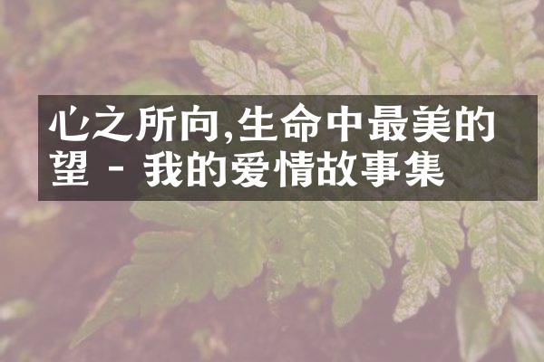 心之所向,生命中最美的渴望 - 我的爱情故事集