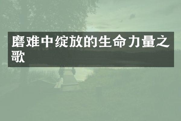 磨难中绽放的生命力量之歌