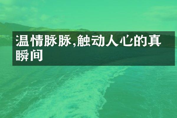 温情脉脉,触动人心的真挚瞬间
