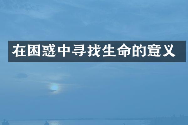 在困惑中寻找生命的意义