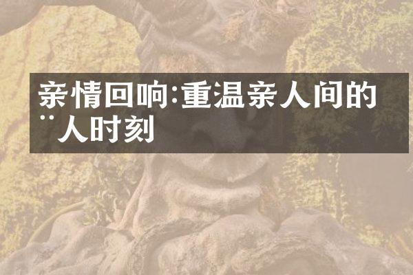 亲情回响:重温亲人间的动人时刻