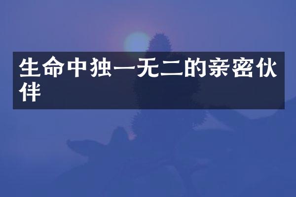 生命中独一无二的亲密伙伴