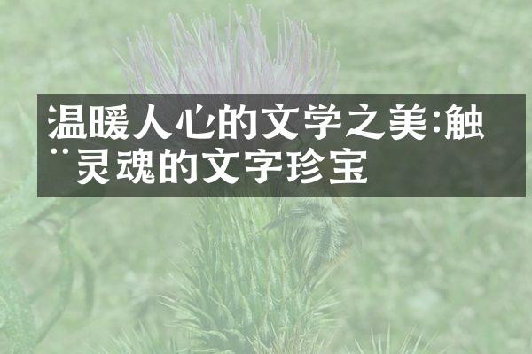 温暖人心的文学之美:触动灵魂的文字珍宝