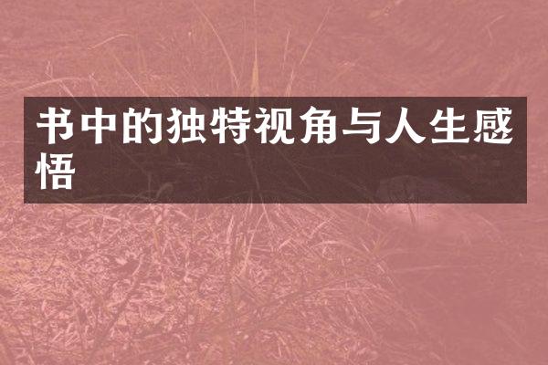 书中的独特视角与人生感悟