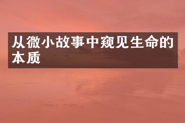 从微小故事中窥见生命的本质