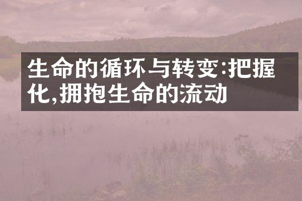 生命的循环与转变:把握变化,拥抱生命的流动