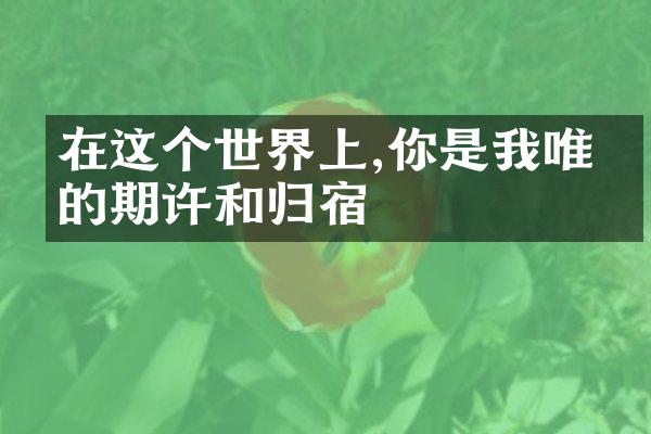 在这个世界上,你是我唯一的期许和归宿