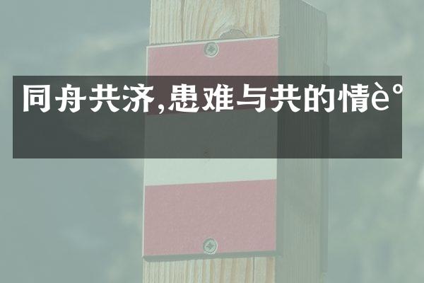 同舟共济,患难与共的情谊