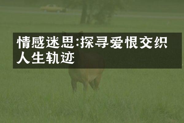 情感迷思:探寻爱恨交织的人生轨迹