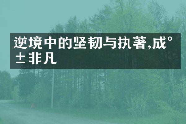 逆境中的坚韧与执著,成就非凡