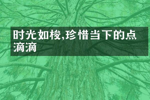 时光如梭,珍惜当下的点点滴滴