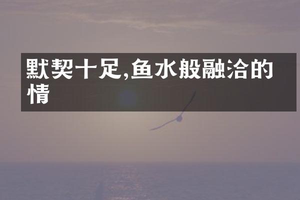 默契十足,鱼水般融洽的友情