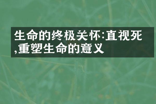 生命的终极关怀:直视死亡,重塑生命的意义