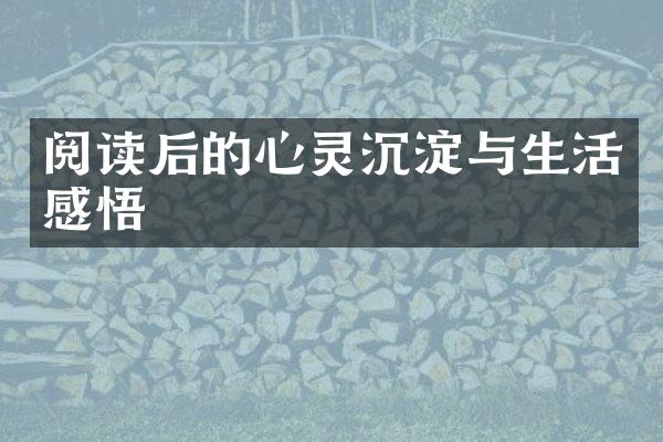 阅读后的心灵沉淀与生活感悟