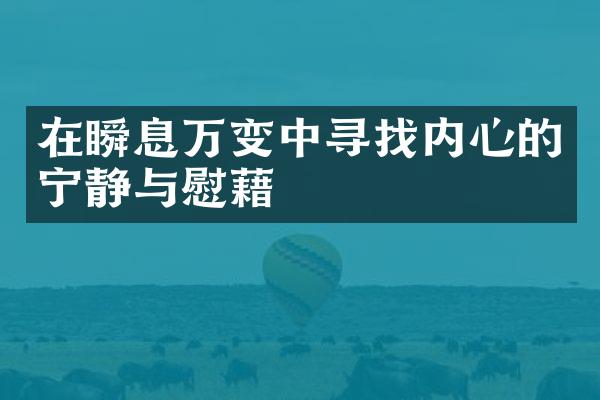 在瞬息万变中寻找内心的宁静与慰藉