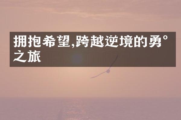 拥抱希望,跨越逆境的勇气之旅