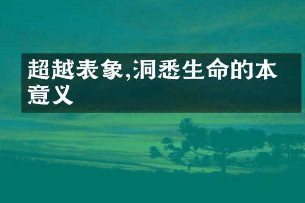 超越表象,洞悉生命的本真意义