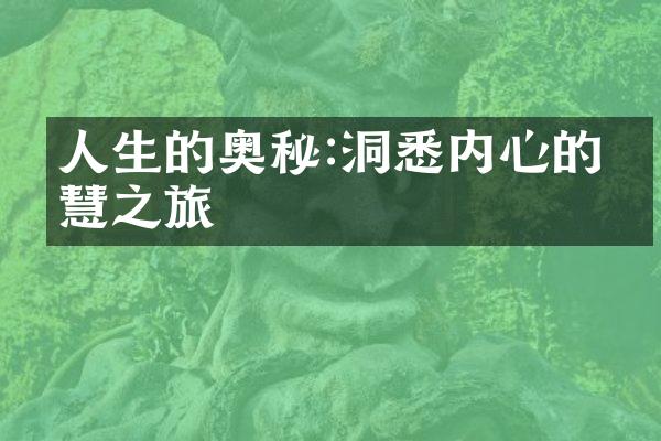 人生的奥秘:洞悉内心的智慧之旅