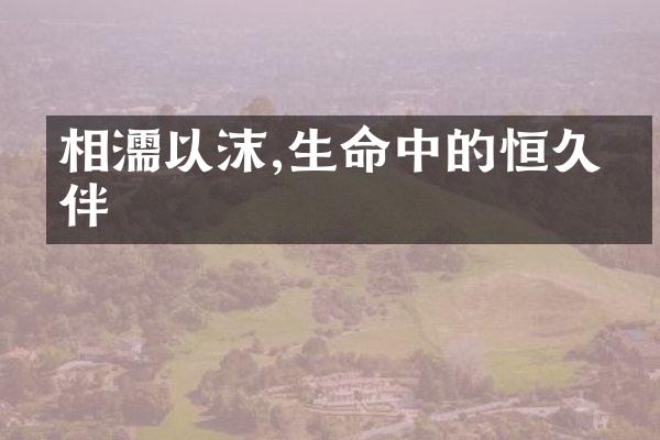 相濡以沫,生命中的恒久伙伴