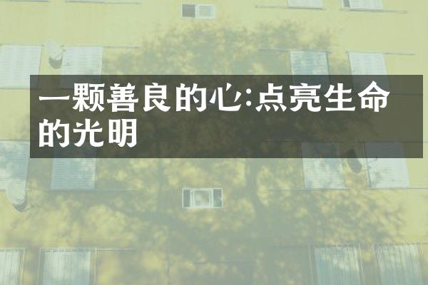 一颗善良的心:点亮生命中的光明