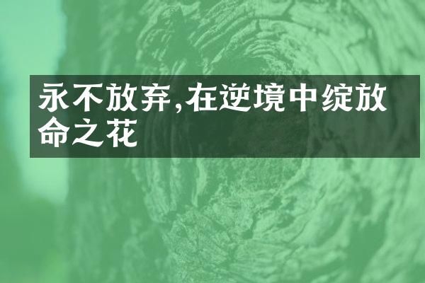 永不放弃,在逆境中绽放生命之花