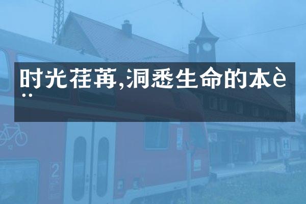 时光荏苒,洞悉生命的本质