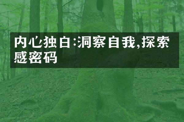 内心独白:洞察自我,探索情感密码