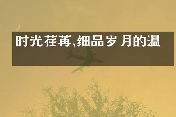 时光荏苒,细品岁月的温度