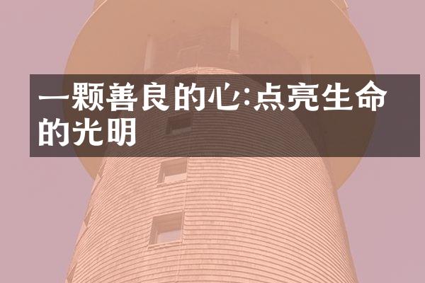 一颗善良的心:点亮生命中的光明