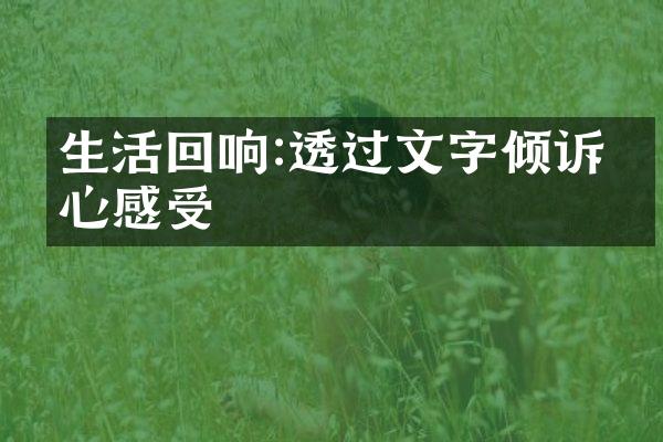 生活回响:透过文字倾诉内心感受