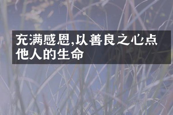 充满感恩,以善良之心点亮他人的生命