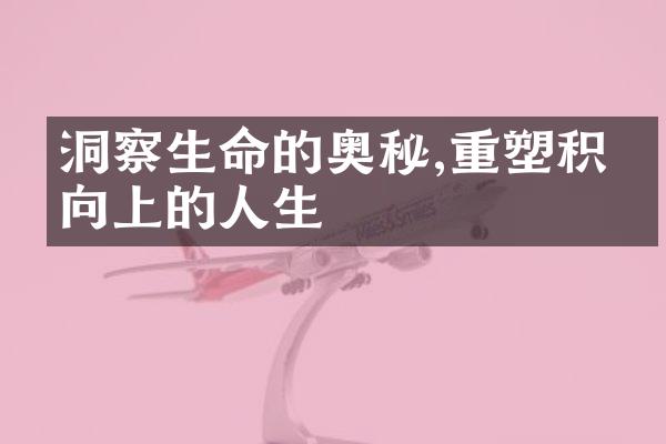 洞察生命的奥秘,重塑积极向上的人生