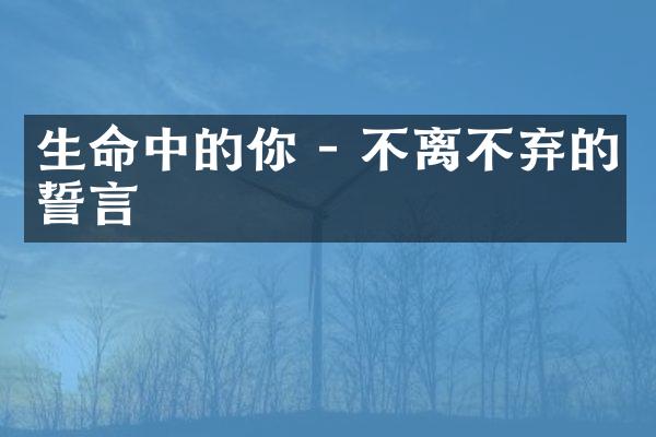 生命中的你 - 不离不弃的誓言
