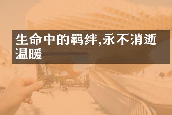 生命中的羁绊,永不消逝的温暖