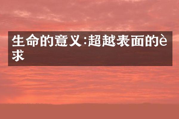 生命的意义:超越表面的追求
