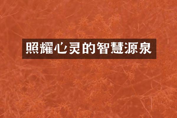 照耀心灵的智慧源泉