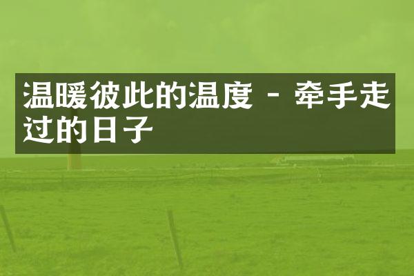 温暖彼此的温度 - 牵手走过的日子