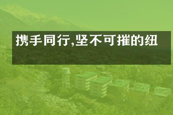 携手同行,坚不可摧的纽带