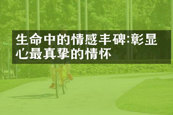 生命中的情感丰碑:彰显内心最真挚的情怀