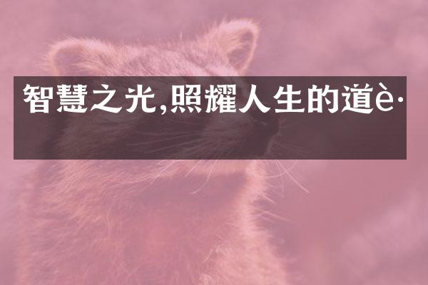 智慧之光,照耀人生的道路