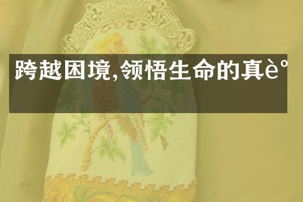 跨越困境,领悟生命的真谛