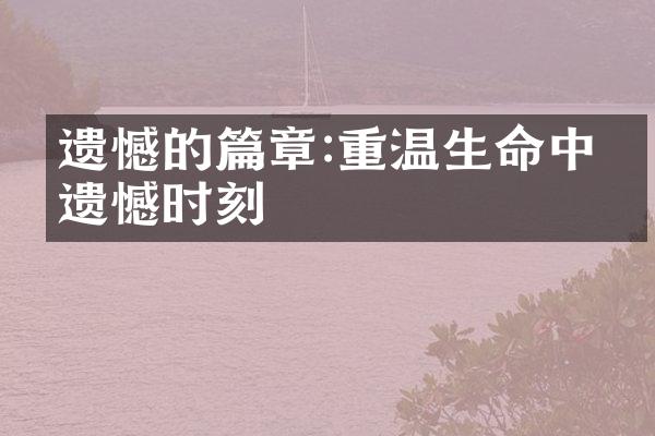 遗憾的篇章:重温生命中的遗憾时刻
