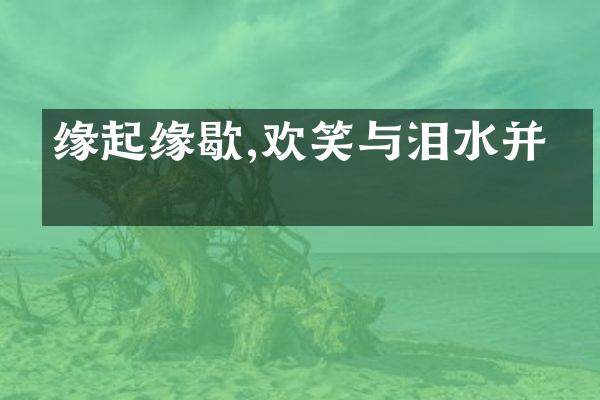 缘起缘歇,欢笑与泪水并存